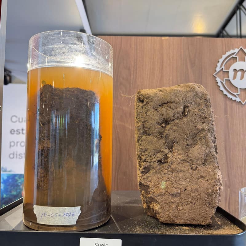 Terrón de suelo tratado que conserva su forma dentro de un frasco con agua