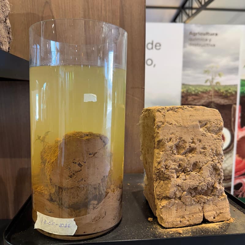 Terrón de suelo testigo deshecho en un frasco con agua