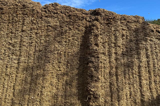 Cara de corte de un silo sin hongos ni material caliente