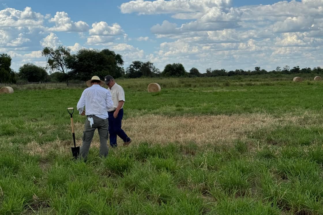 Visita técnica en un campo ganadero, con los fardos del lote al fondo.