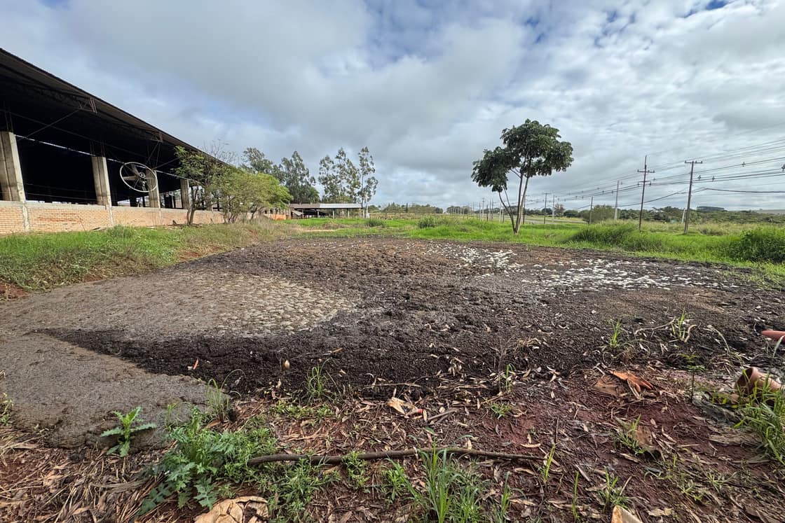 Compost de campo hecho con el estiércol del propio tambo, al lado del galpón.